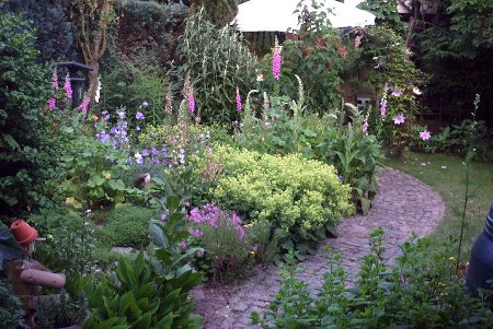 overzicht tuin